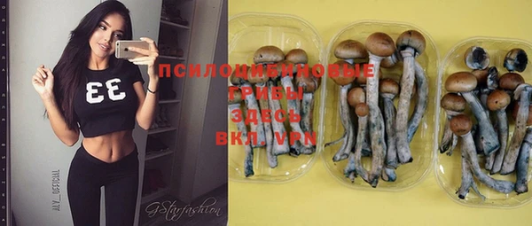 mix Аркадак