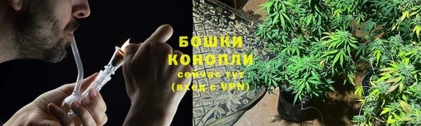 PSILOCYBIN Арсеньев