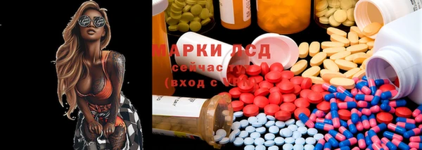 индика Армянск