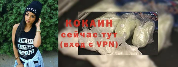 индика Армянск