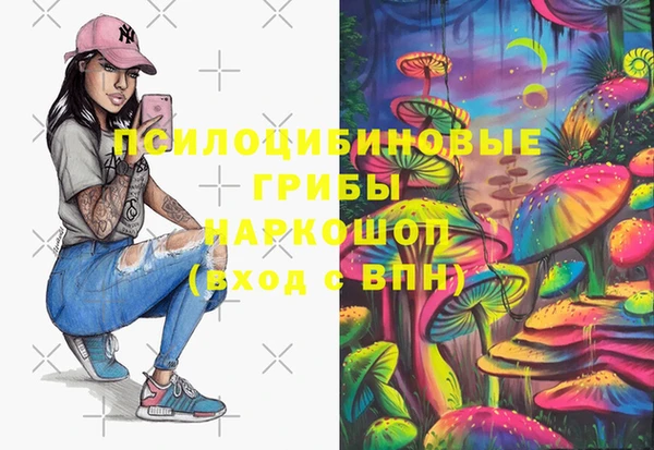 индика Армянск